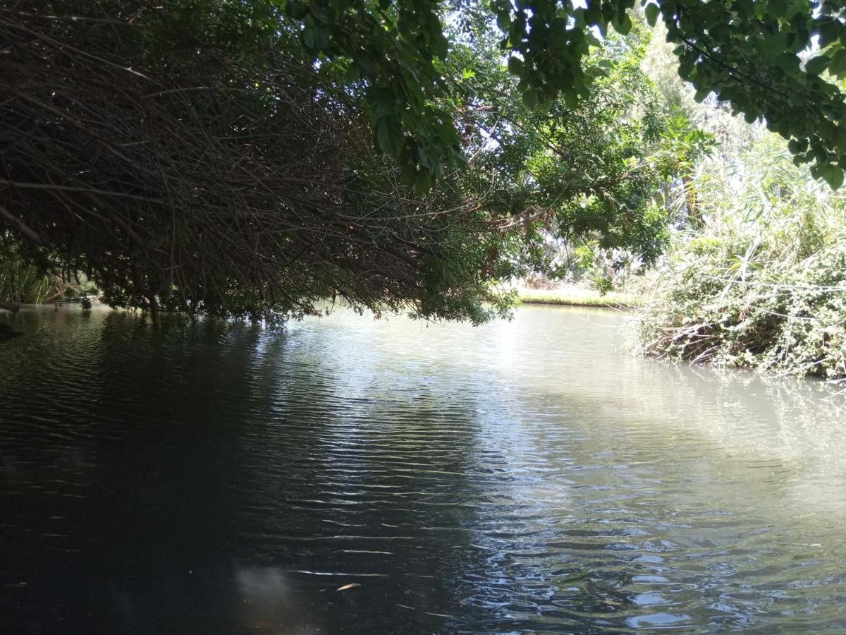 צימר בודד בגליל העליון Kefar Szold Εξωτερικό φωτογραφία