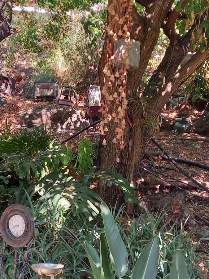 צימר בודד בגליל העליון Kefar Szold Εξωτερικό φωτογραφία