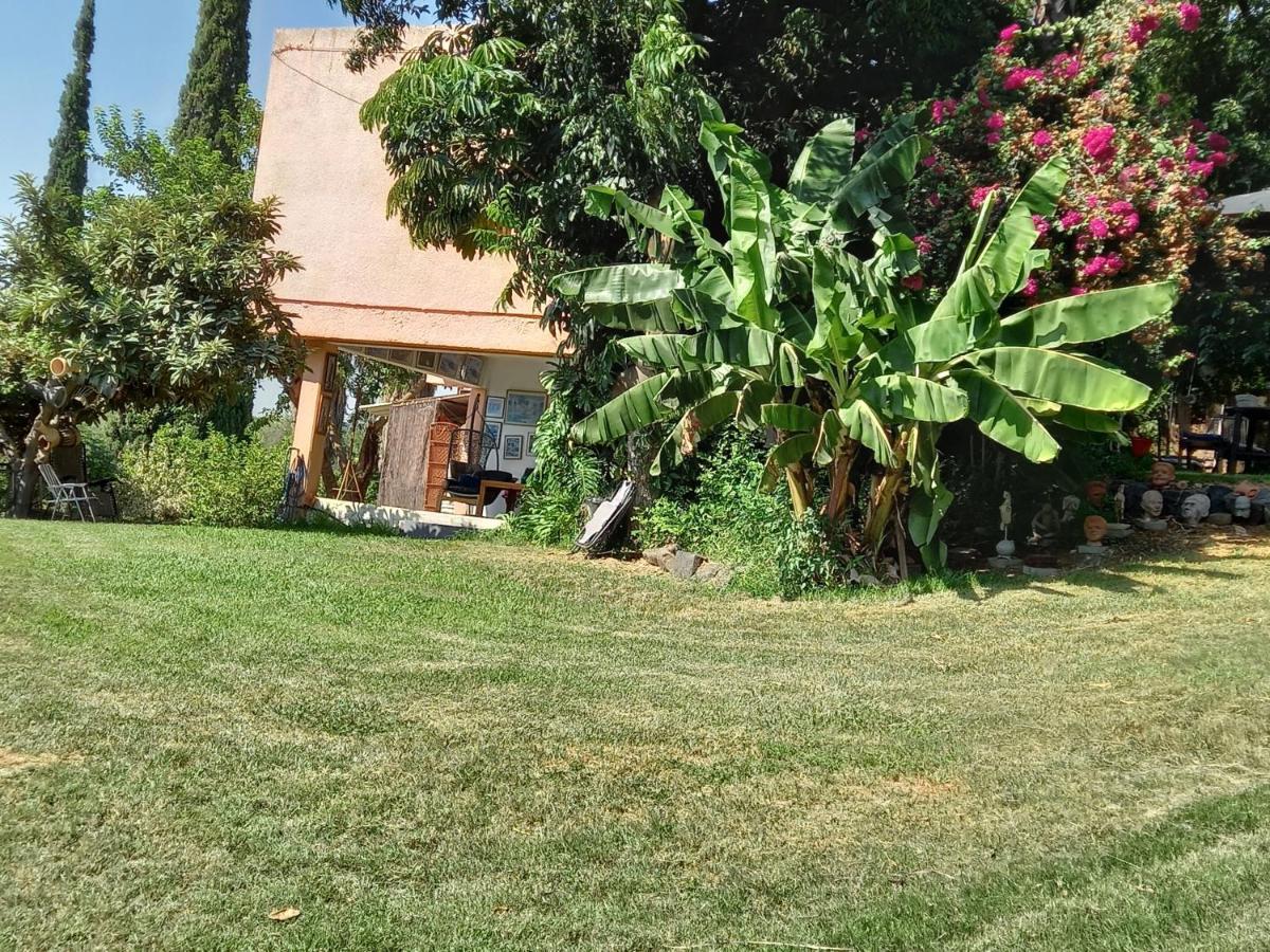 צימר בודד בגליל העליון Kefar Szold Εξωτερικό φωτογραφία