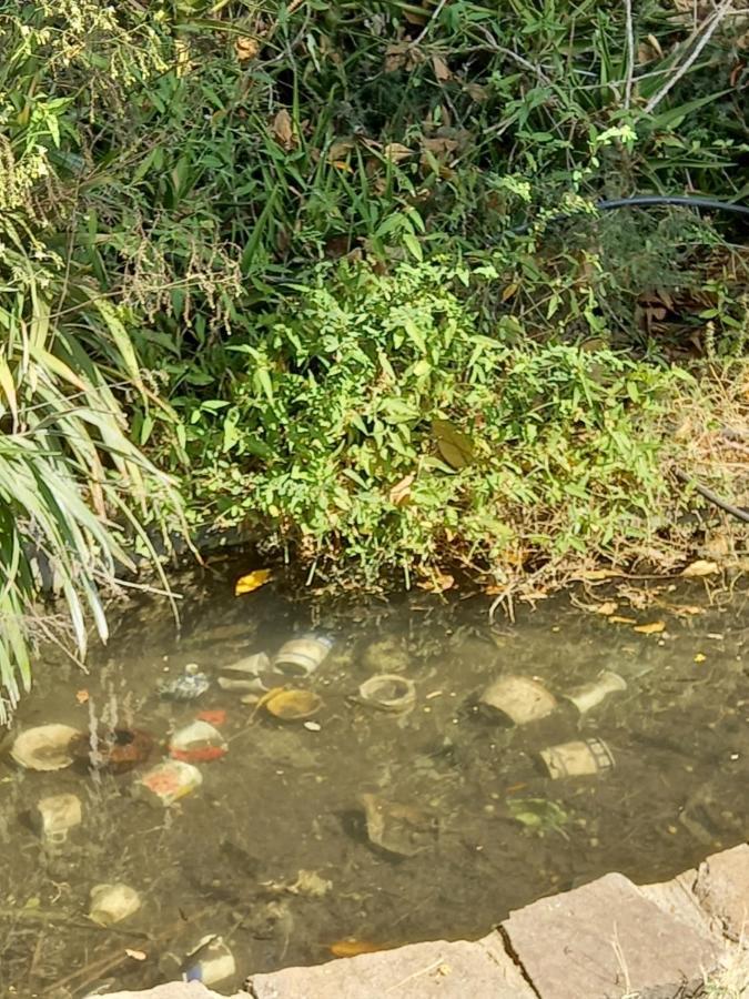 צימר בודד בגליל העליון Kefar Szold Εξωτερικό φωτογραφία
