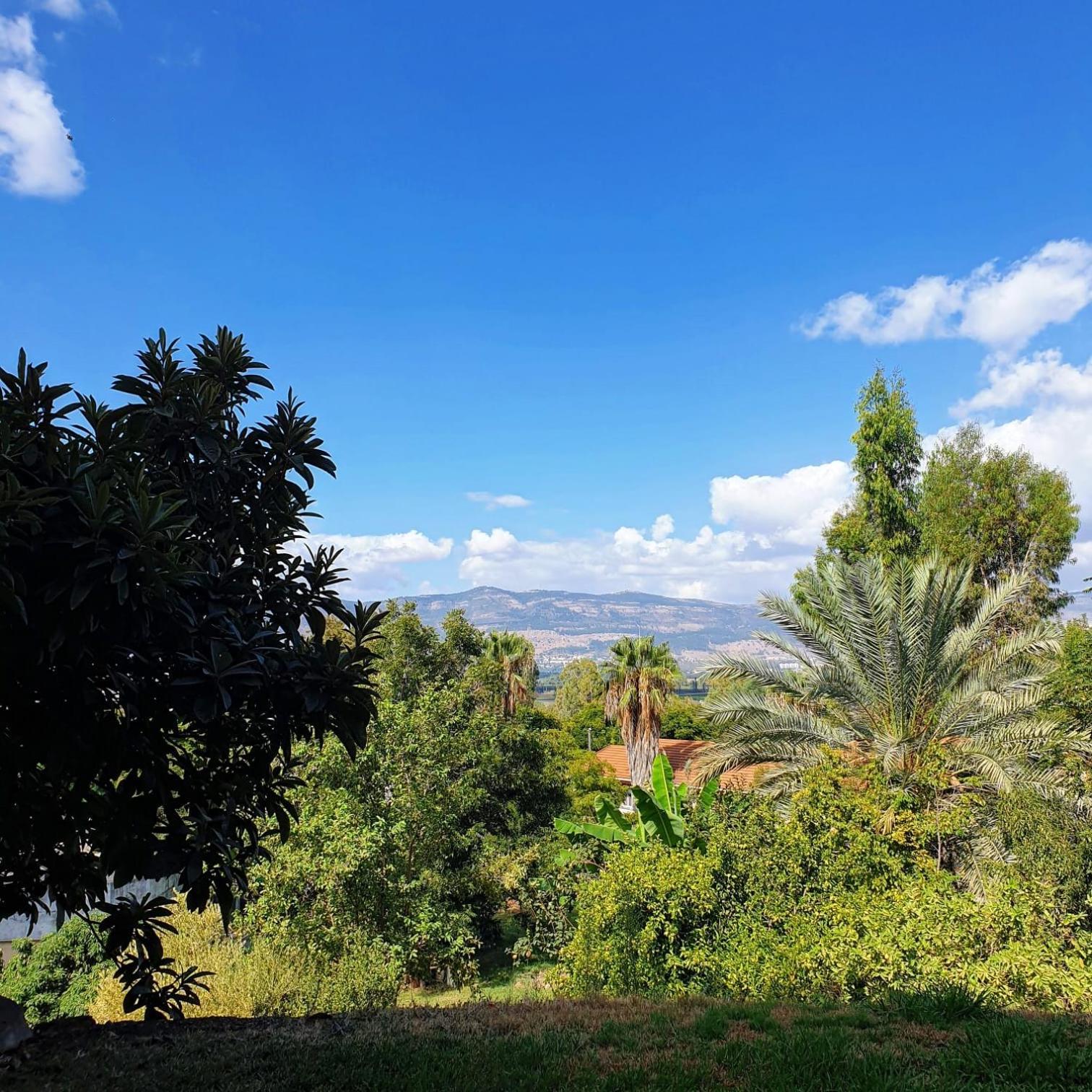 צימר בודד בגליל העליון Kefar Szold Εξωτερικό φωτογραφία